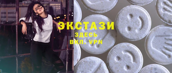хмурый Няндома