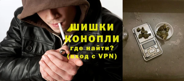 индика Нязепетровск
