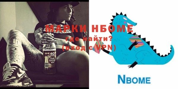 хмурый Няндома