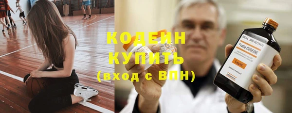 индика Нязепетровск
