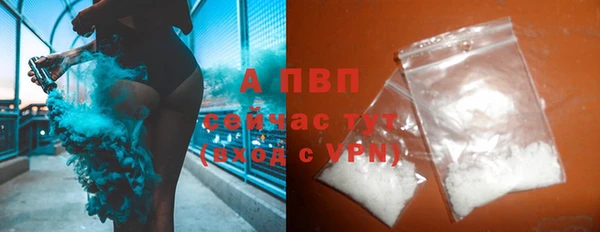 хмурый Няндома