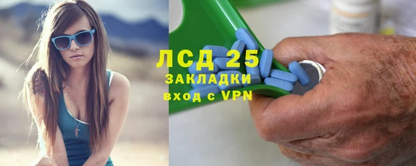 индика Нязепетровск