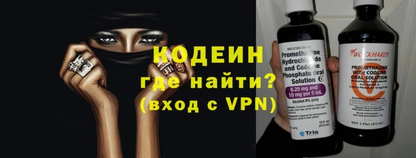 индика Нязепетровск
