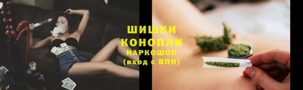 хмурый Няндома