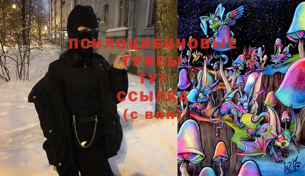 индика Нязепетровск