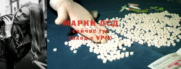 индика Нязепетровск