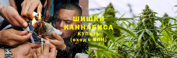 индика Нязепетровск