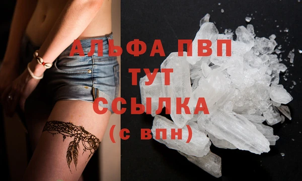 хмурый Няндома