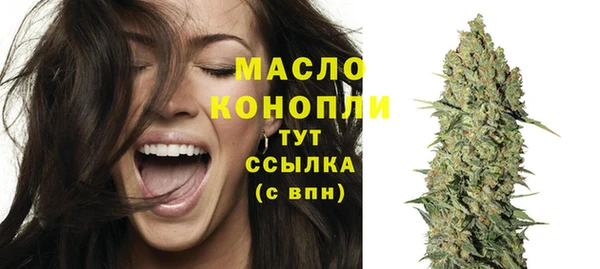 индика Нязепетровск