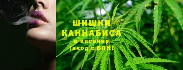 хмурый Няндома