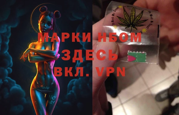 индика Нязепетровск