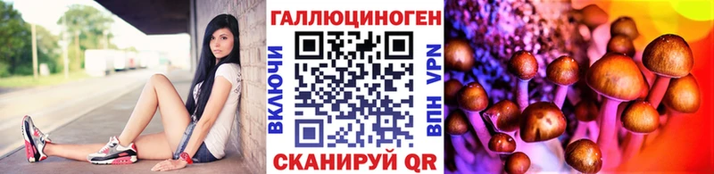Псилоцибиновые грибы мицелий  Иноземцево 